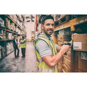 4052301041325 - 100 Stecknadeln grün 4052301041325 - 100 Stecknadeln grün