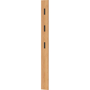 4005949372849 - Wandgarderobe 3728-243 eiche Holz 3 Haken 150 x 1700 cm 4005949372849 GERMANIA 4005949372849 - Wandgarderobe 3728-243 eiche Holz 3 Haken 150 x 1700 cm 4005949372849 GERMANIA