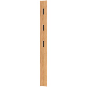4005949372849 - Wandgarderobe 3728-243 eiche Holz 3 Haken 150 x 1700 cm 4005949372849 GERMANIA 4005949372849 - Wandgarderobe 3728-243 eiche Holz 3 Haken 150 x 1700 cm 4005949372849 GERMANIA