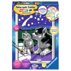 4005556278473 - Malen nach Zahlen - Jeder kann malen (Mal-Sets) Bildgröße 13 x 18 cm - Ravensburger Malen nach Zahlen 27847 - Hund und Katze - Kinder ab 7 Jahren 4005556278473 - Malen nach Zahlen - Jeder kann malen (Mal-Sets) Bildgröße 13 x 18 cm - Ravensburger Malen nach Zahlen 27847 - Hund und Katze - Kinder ab 7 Jahren
