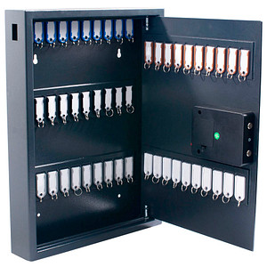 8717448013876 - High Security Schlüsseltresor grau mit 50 Haken Elektronikschloss 8717448013876 pavo 8717448013876 - High Security Schlüsseltresor grau mit 50 Haken Elektronikschloss 8717448013876 pavo