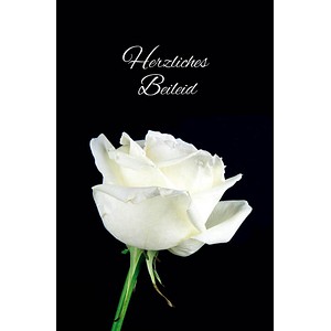 8 Beileidskarte Trauer-Karte Anteilnahme Kondolenzkarte Umschlag weisse Rose