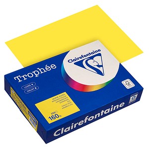 3329680002751 - Kopierpapier Trophée Color 1029PC A4 160g kanariengelb  3329680002751 Clairefontaine