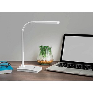 4002390069175 - Schreibtischlampe MAULpearly colour vario 8201702 LED dimmbar mit Standfuß weiß 4002390069175 Maul 4002390069175 - Schreibtischlampe MAULpearly colour vario 8201702 LED dimmbar mit Standfuß weiß 4002390069175 Maul