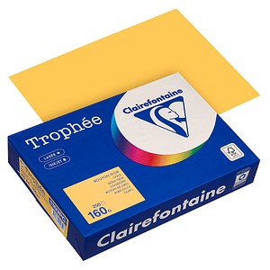 3329680002652 - Kopierpapier Trophée gold gelb DIN A4 160 gm² 250 Blatt 3329680002652 250 Blatt