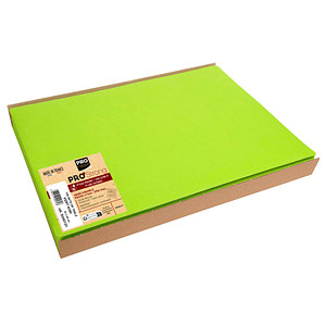 3281513401318 - 100 Platzsets grün 300 x 400 cm 3281513401318 100 Stück 3281513401318 - 100 Platzsets grün 300 x 400 cm 3281513401318 100 Stück