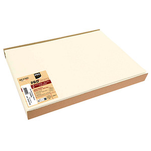 3281513401028 - 100 Platzsets beige 300 x 400 cm 3281513401028 100 Stück 3281513401028 - 100 Platzsets beige 300 x 400 cm 3281513401028 100 Stück