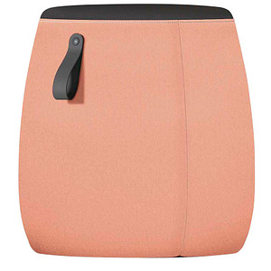 4049694006420 - Sitzhocker PF-905 008 sedot apricot bis 110kg 4049694006420 Sedus 4049694006420 - Sitzhocker PF-905 008 sedot apricot bis 110kg 4049694006420 Sedus
