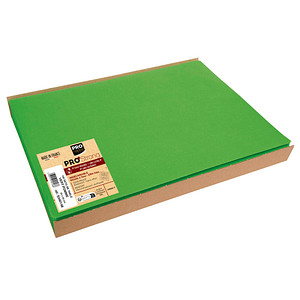 3281513401486 - 100 Platzsets grün 300 x 400 cm 3281513401486 100 Stück 3281513401486 - 100 Platzsets grün 300 x 400 cm 3281513401486 100 Stück