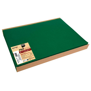 3281513401073 - 100 Platzsets grün 300 x 400 cm 3281513401073 100 Stück 3281513401073 - 100 Platzsets grün 300 x 400 cm 3281513401073 100 Stück