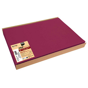 3281513401080 - 100 Platzsets rot 300 x 400 cm 3281513401080 100 Stück 3281513401080 - 100 Platzsets rot 300 x 400 cm 3281513401080 100 Stück