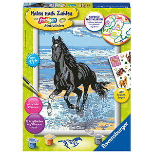 4005556285655 - Malen-nach-Zahlen Pferd am Strand mehrfarbig 4005556285655 Ravensburger